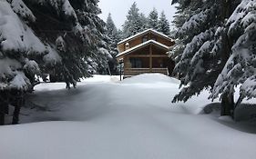 Uludag Orman Koskleri Bursa